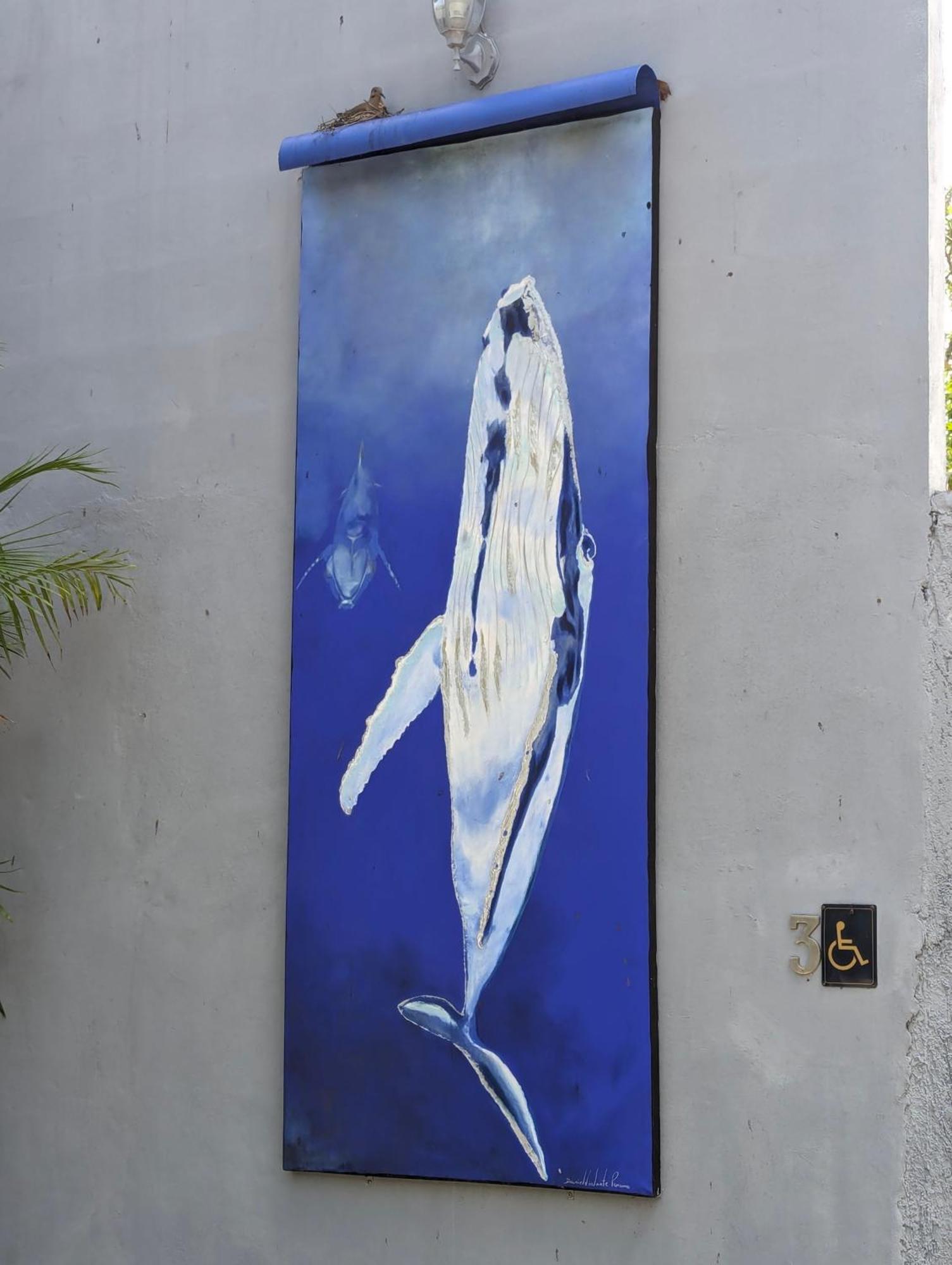 The Blue Eco Lodge Tikuch Exterior photo